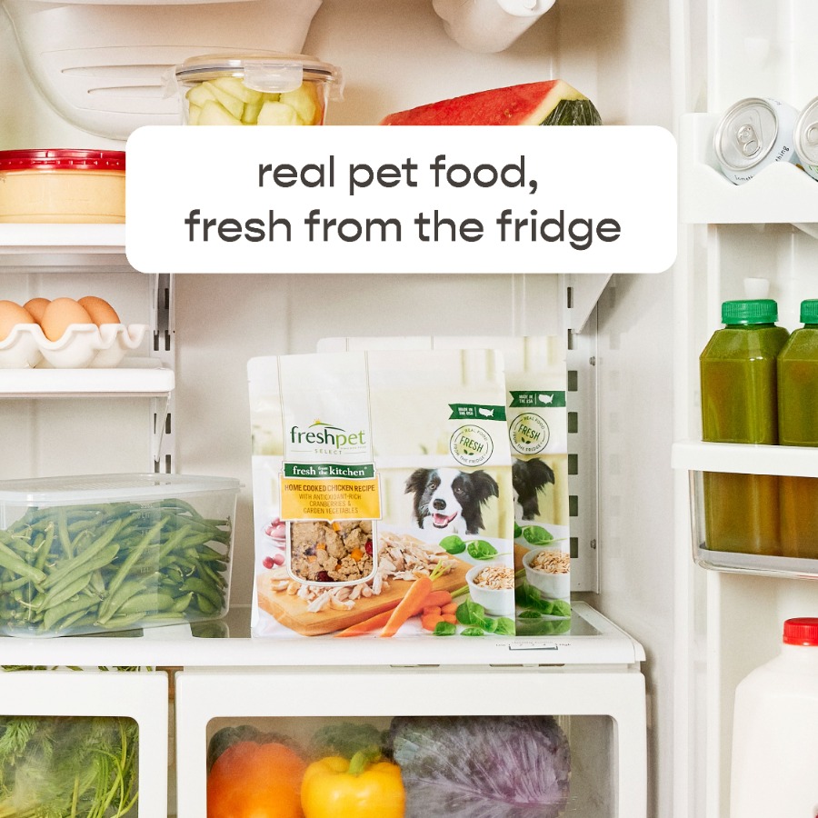 4 pack Fresh Dog Food, Fresh F - Home Cooking Recipes recensione e prezzo