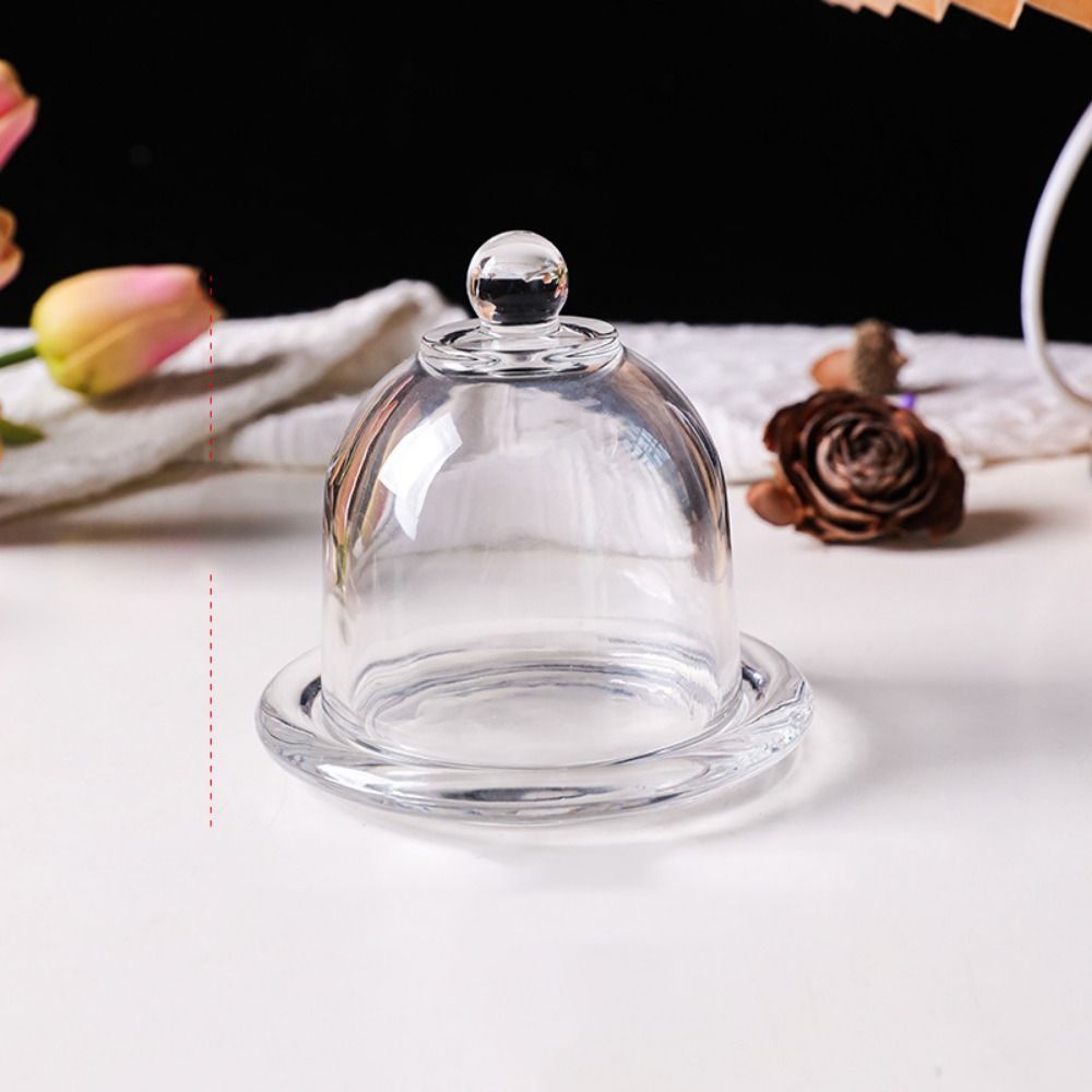 Cake Stand with Lid Cutting Bo - Home Cooking Recipes recensione e prezzo