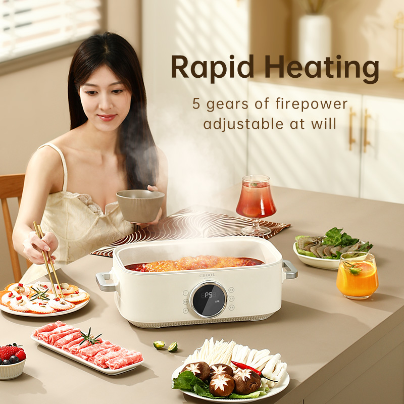 10L 3-in-1 Electric Food Steam - Home Cooking Restaurant recensione e prezzo